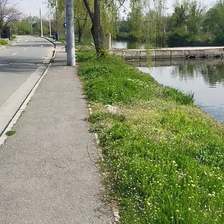 Vnhaju Bucureşti